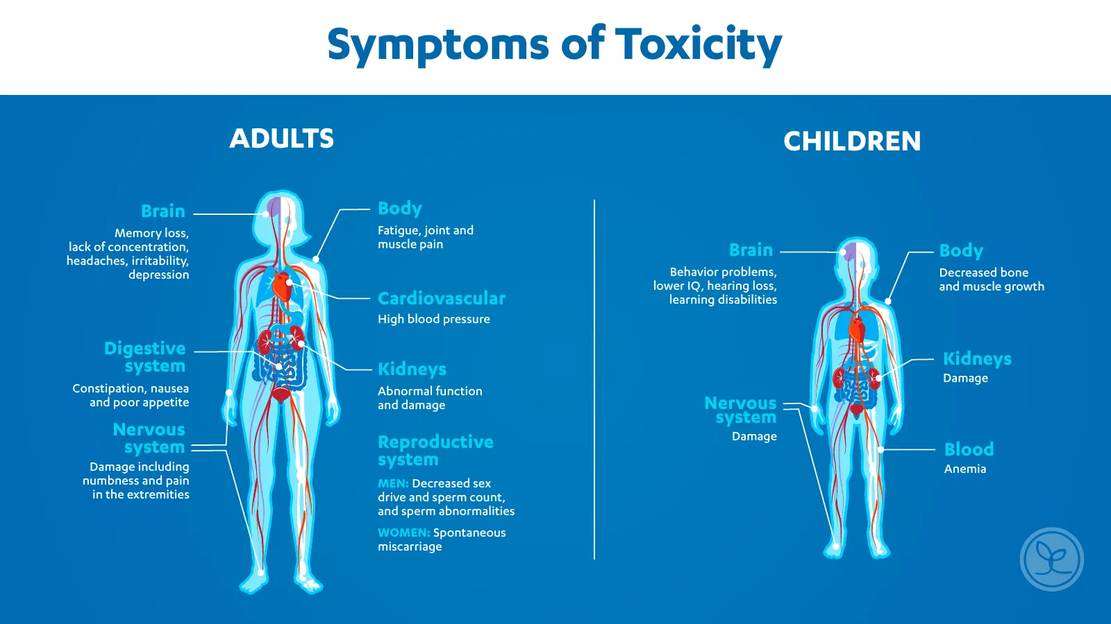 Zeolite Detox Press Kit, page 6 of 26